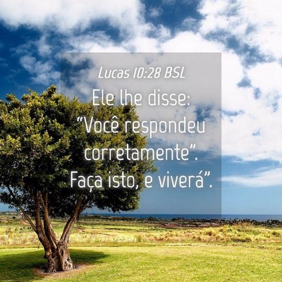 Picture 04 - Lucas 10:28 BSL - Ele lhe disse: “Você respondeu - Bible Verse Picture