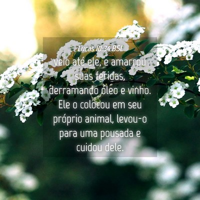 Picture 04 - Lucas 10:34 BSL - veio até ele, e amarrou suas feridas, derramando - Bible Verse Picture