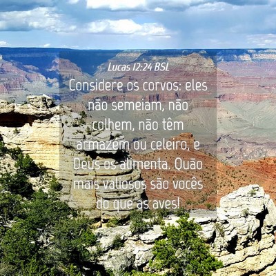 Picture 04 - Lucas 12:24 BSL - Considere os corvos: eles não semeiam, não - Bible Verse Picture