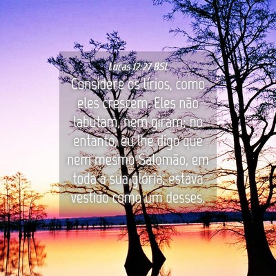 Picture 04 - Lucas 12:27 BSL - Considere os lírios, como eles crescem. Eles - Bible Verse Picture