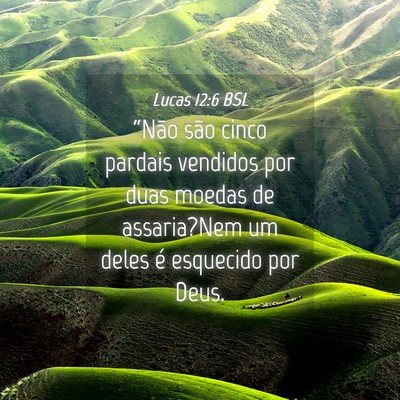 Picture 04 - Lucas 12:6 BSL - “Não são cinco pardais vendidos por duas - Bible Verse Picture
