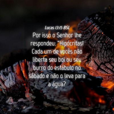 Picture 04 - Lucas 13:15 BSL - Por isso o Senhor lhe respondeu: “Hipócritas! - Bible Verse Picture