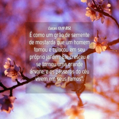 Picture 04 - Lucas 13:19 BSL - É como um grão de semente de mostarda que um - Bible Verse Picture