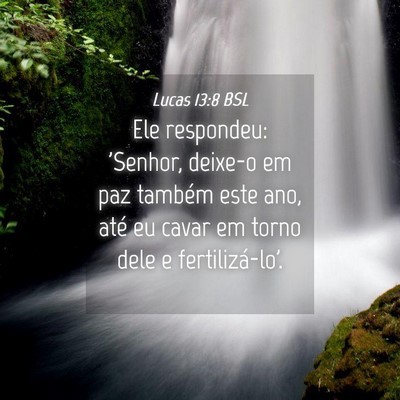 Picture 04 - Lucas 13:8 BSL - Ele respondeu: 'Senhor, deixe-o em paz também - Bible Verse Picture