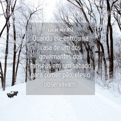 Picture 04 - Lucas 14:1 BSL - Quando ele entrou na casa de um dos governantes - Bible Verse Picture