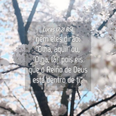Picture 04 - Lucas 17:21 BSL - nem eles dirão: 'Olha, aqui!' ou, 'Olha, lá!' - Bible Verse Picture
