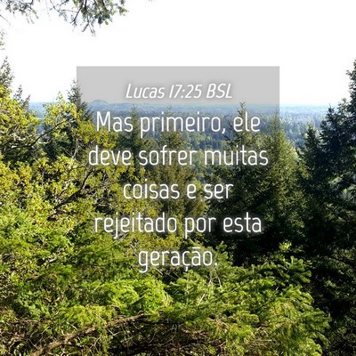 Picture 04 - Lucas 17:25 BSL - Mas primeiro, ele deve sofrer muitas coisas e ser - Bible Verse Picture