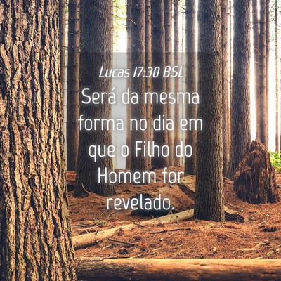 Picture 04 - Lucas 17:30 BSL - Será da mesma forma no dia em que o Filho do - Bible Verse Picture