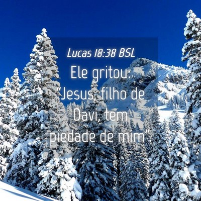 Picture 04 - Lucas 18:38 BSL - Ele gritou: “Jesus, filho de Davi, tem piedade - Bible Verse Picture