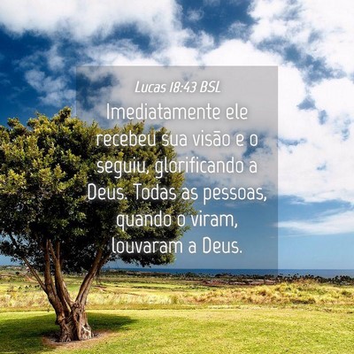 Picture 04 - Lucas 18:43 BSL - Imediatamente ele recebeu sua visão e o seguiu, - Bible Verse Picture