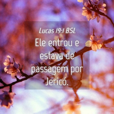 Picture 04 - Lucas 19:1 BSL - Ele entrou e estava de passagem por - Bible Verse Picture