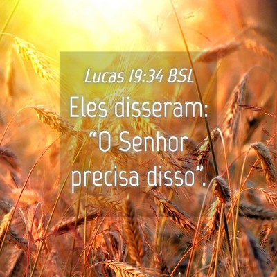 Picture 04 - Lucas 19:34 BSL - Eles disseram: “O Senhor precisa - Bible Verse Picture