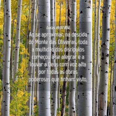 Picture 04 - Lucas 19:37 BSL - Ao se aproximar, na descida do Monte das - Bible Verse Picture