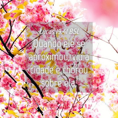 Picture 04 - Lucas 19:41 BSL - Quando ele se aproximou, viu a cidade e chorou - Bible Verse Picture