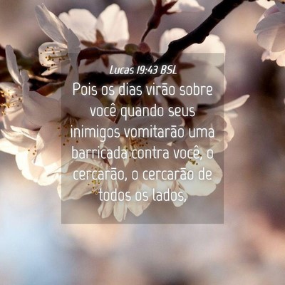 Picture 04 - Lucas 19:43 BSL - Pois os dias virão sobre você quando seus - Bible Verse Picture