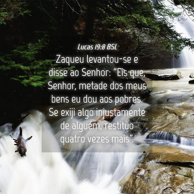 Picture 04 - Lucas 19:8 BSL - Zaqueu levantou-se e disse ao Senhor: “Eis que, - Bible Verse Picture