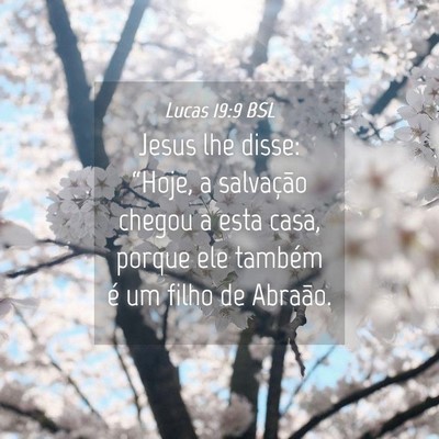 Picture 04 - Lucas 19:9 BSL - Jesus lhe disse: “Hoje, a salvação chegou a - Bible Verse Picture