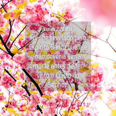Picture 04 - Lucas 2:26 BSL - Foi-lhe revelado pelo Espírito Santo que ele - Bible Verse Picture