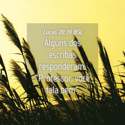 Picture 04 - Lucas 20:39 BSL - Alguns dos escribas responderam: “Professor, - Bible Verse Picture