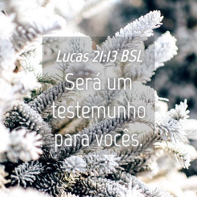 Picture 04 - Lucas 21:13 BSL - Será um testemunho para - Bible Verse Picture