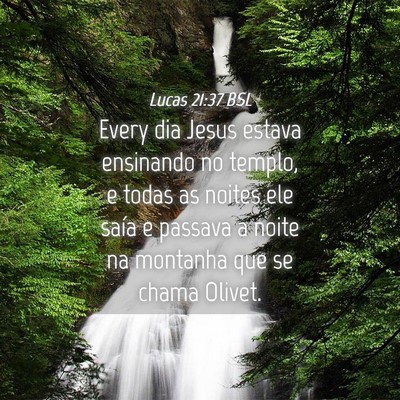 Picture 04 - Lucas 21:37 BSL - Every dia Jesus estava ensinando no templo, e - Bible Verse Picture