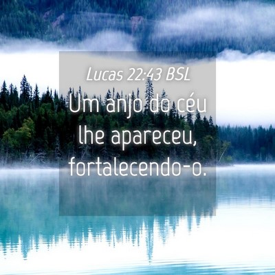 Picture 04 - Lucas 22:43 BSL - Um anjo do céu lhe apareceu, - Bible Verse Picture
