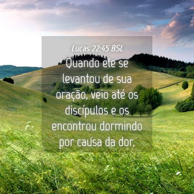 Picture 04 - Lucas 22:45 BSL - Quando ele se levantou de sua oração, veio até - Bible Verse Picture