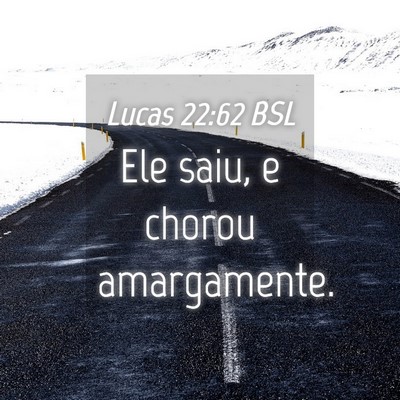 Picture 04 - Lucas 22:62 BSL - Ele saiu, e chorou - Bible Verse Picture