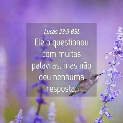 Picture 04 - Lucas 23:9 BSL - Ele o questionou com muitas palavras, mas não - Bible Verse Picture