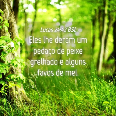 Picture 04 - Lucas 24:42 BSL - Eles lhe deram um pedaço de peixe grelhado e - Bible Verse Picture