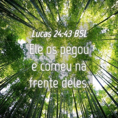 Picture 04 - Lucas 24:43 BSL - Ele os pegou e comeu na frente - Bible Verse Picture