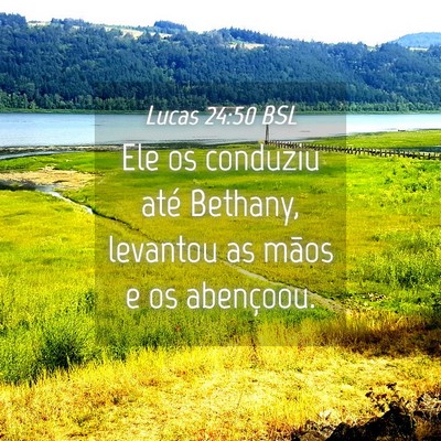 Picture 04 - Lucas 24:50 BSL - Ele os conduziu até Bethany, levantou as mãos e - Bible Verse Picture