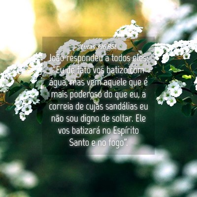 Picture 04 - Lucas 3:16 BSL - João respondeu a todos eles: “Eu de fato vos - Bible Verse Picture