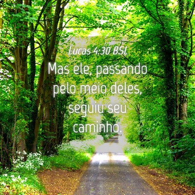 Picture 04 - Lucas 4:30 BSL - Mas ele, passando pelo meio deles, seguiu seu - Bible Verse Picture