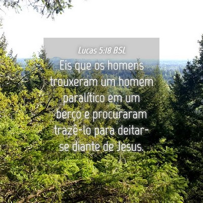 Picture 04 - Lucas 5:18 BSL - Eis que os homens trouxeram um homem paralítico - Bible Verse Picture