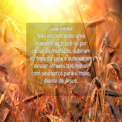 Picture 04 - Lucas 5:19 BSL - Não encontrando uma maneira de trazê-lo por - Bible Verse Picture