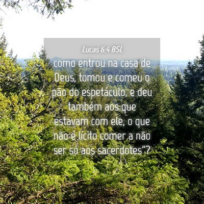 Picture 04 - Lucas 6:4 BSL - como entrou na casa de Deus, tomou e comeu o pão - Bible Verse Picture