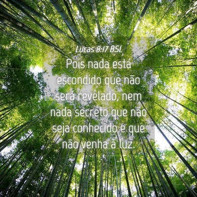 Picture 04 - Lucas 8:17 BSL - Pois nada está escondido que não será - Bible Verse Picture