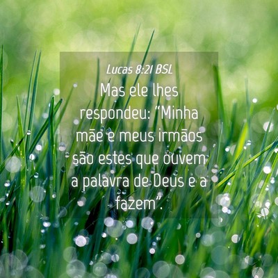 Picture 04 - Lucas 8:21 BSL - Mas ele lhes respondeu: “Minha mãe e meus - Bible Verse Picture