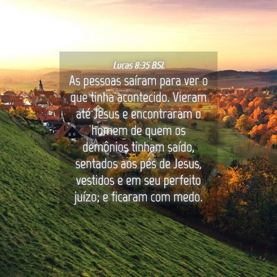 Picture 04 - Lucas 8:35 BSL - As pessoas saíram para ver o que tinha - Bible Verse Picture