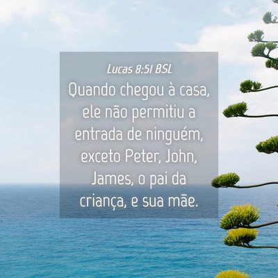 Picture 04 - Lucas 8:51 BSL - Quando chegou à casa, ele não permitiu a - Bible Verse Picture