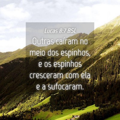 Picture 04 - Lucas 8:7 BSL - Outras caíram no meio dos espinhos, e os - Bible Verse Picture