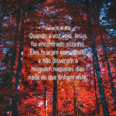 Picture 04 - Lucas 9:36 BSL - Quando a voz veio, Jesus foi encontrado sozinho. - Bible Verse Picture