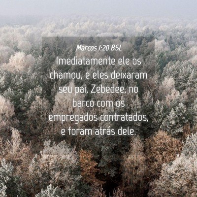 Picture 04 - Marcos 1:20 BSL - Imediatamente ele os chamou, e eles deixaram seu - Bible Verse Picture