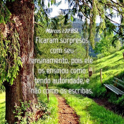 Picture 04 - Marcos 1:22 BSL - Ficaram surpresos com seu ensinamento, pois ele - Bible Verse Picture