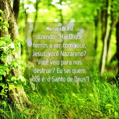 Picture 04 - Marcos 1:24 BSL - dizendo: “Ha! O que temos a ver com você, - Bible Verse Picture