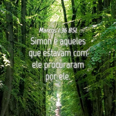 Picture 04 - Marcos 1:36 BSL - Simon e aqueles que estavam com ele procuraram - Bible Verse Picture