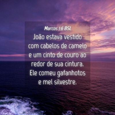 Picture 04 - Marcos 1:6 BSL - João estava vestido com cabelos de camelo e um - Bible Verse Picture