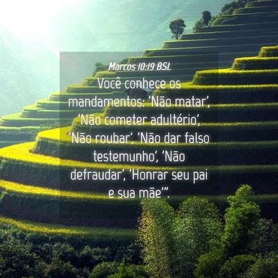 Picture 04 - Marcos 10:19 BSL - Você conhece os mandamentos: 'Não matar', 'Não - Bible Verse Picture