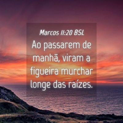 Picture 04 - Marcos 11:20 BSL - Ao passarem de manhã, viram a figueira murchar - Bible Verse Picture